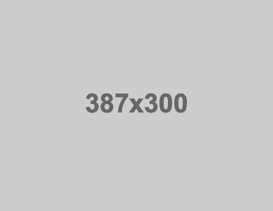 Test Article