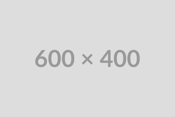 Test Article